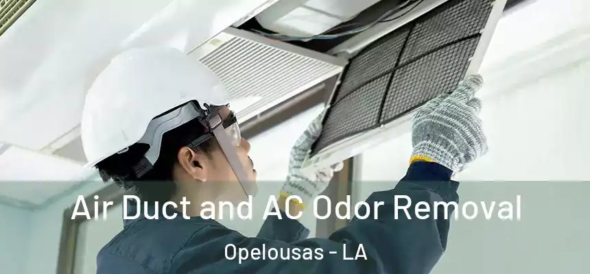  Air Duct and AC Odor Removal Opelousas - LA