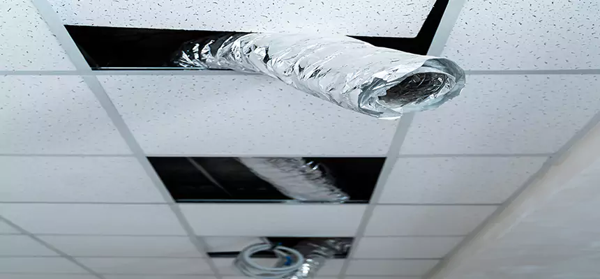 Our Air Duct Pet Hair Removal Services in Opelousas, LA