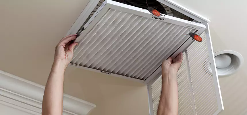 Our Insect Removal from Air Ducts Services in Opelousas, LA