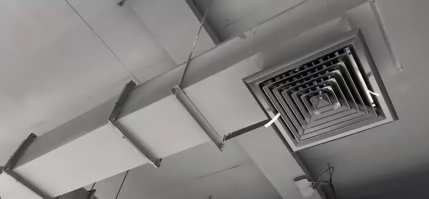 Our Rodent Droppings In Vents Services in Opelousas, LA