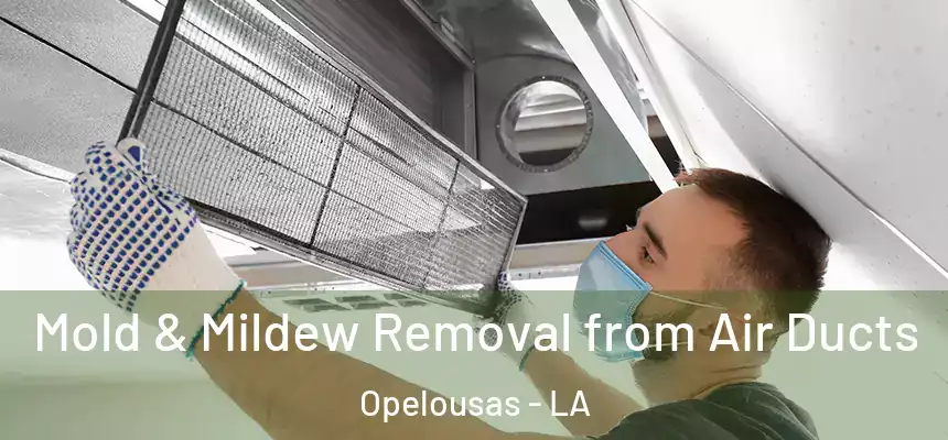  Mold & Mildew Removal from Air Ducts Opelousas - LA