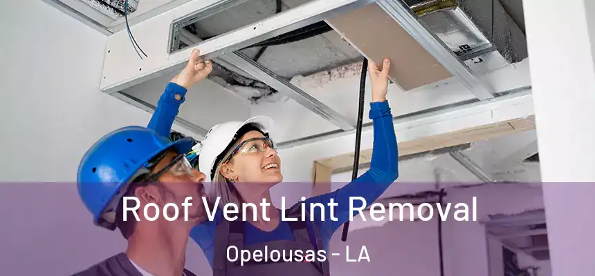  Roof Vent Lint Removal Opelousas - LA