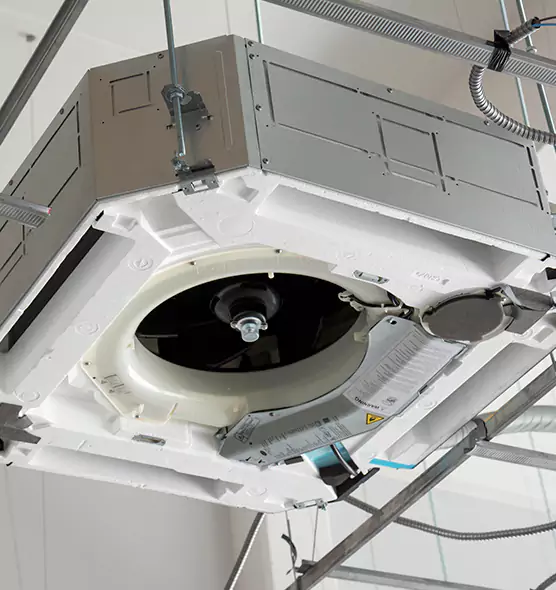 Professional Roof Vent Lint Removal Opelousas, LA