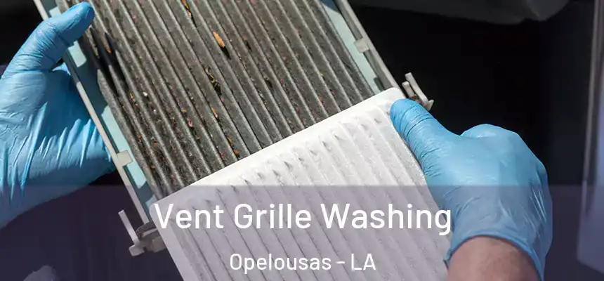  Vent Grille Washing Opelousas - LA