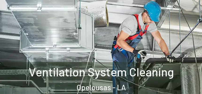  Ventilation System Cleaning Opelousas - LA